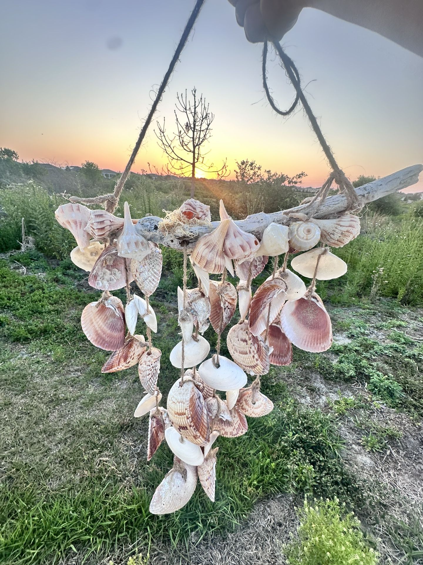 SEA SHELL WIND CHIME