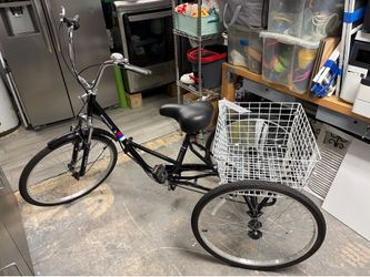 Adult Trike