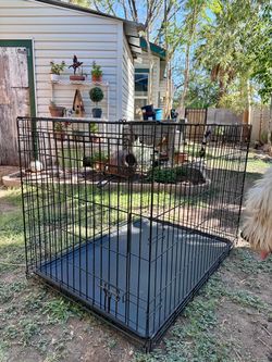 Collapsible dog kennel
