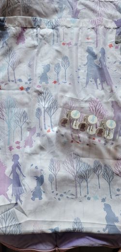 Frozen Shower Curtine