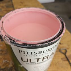 Pittsburgh Paints Gallon (Pink)