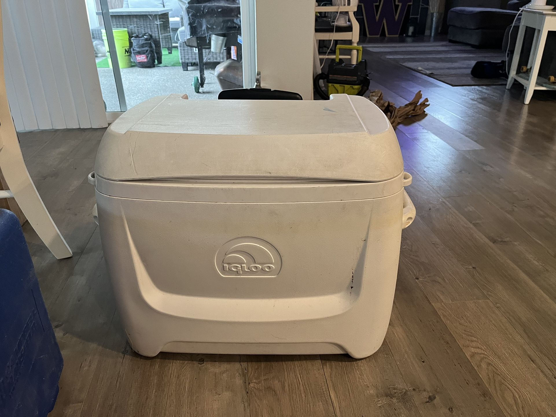 Igloo Cooler