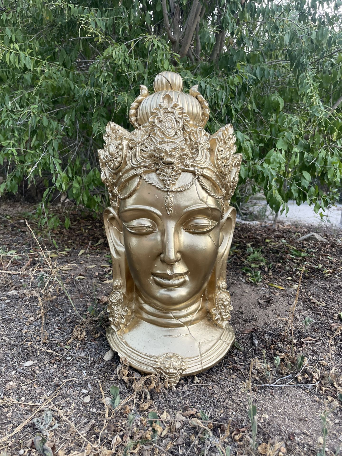 Huge Gold Buddha Head 23” Tall