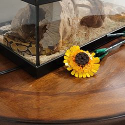 Reptile Trerrarium Light 