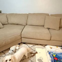 Well LOVED Couch