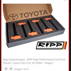 Tacoma Ripp coils 