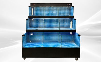 🦞 60" SEA WATER SEAFOOD & LOBSTER DISPLAY CASE – HL60 🌊