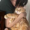 Angelo