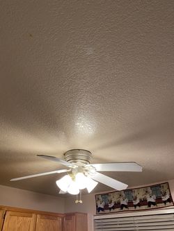 Ceiling Fan And Light Fixture