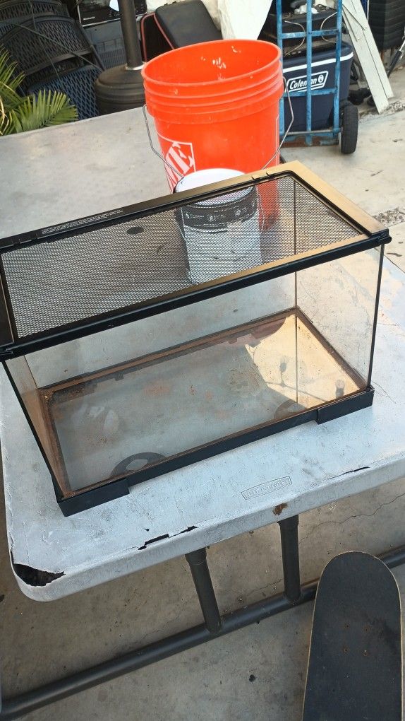 Fish Tank 