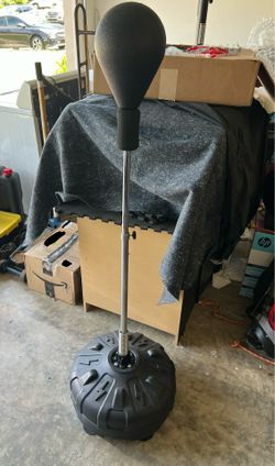 Light Punching speed bag