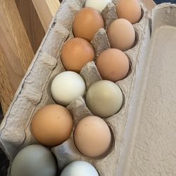 Farm Fresh Eggs