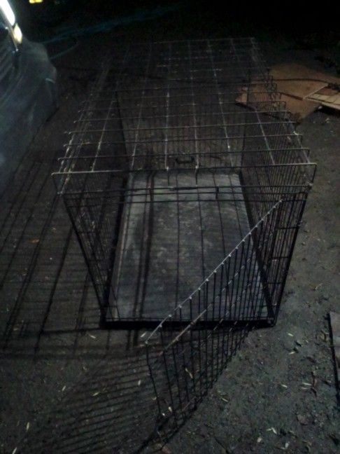 Big Dog Kennel