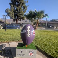 NFL Football 