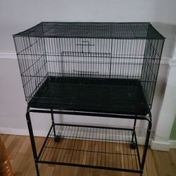 Bird Cage 