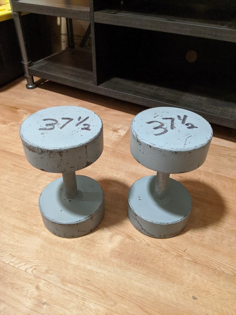 37.5 lb dumbbell weights