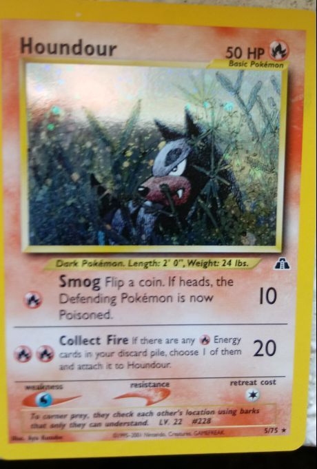 Pokemon.Houndour.