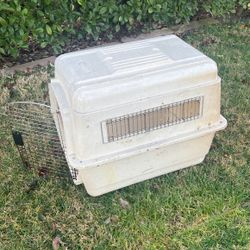 Dog Cage 