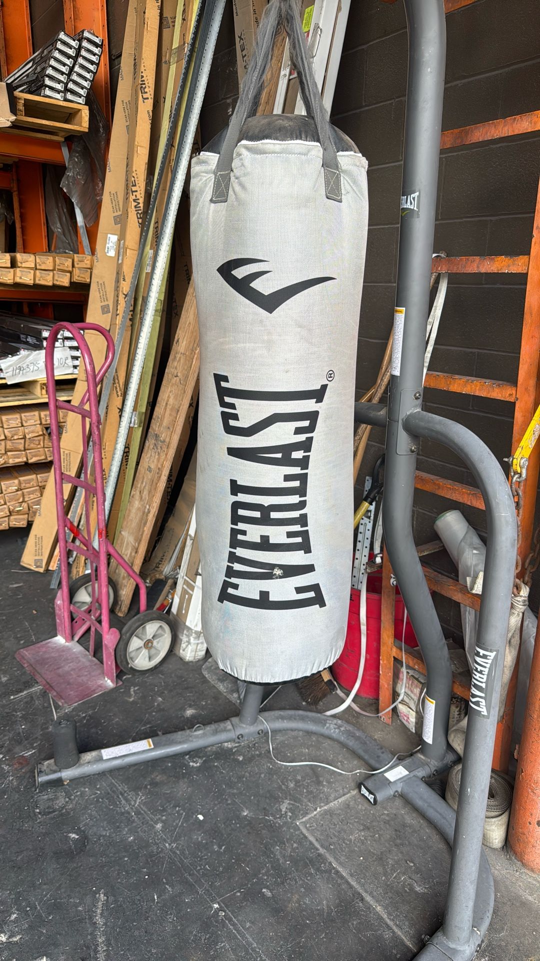 Everlast Punching Bag