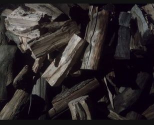 Pecan Fire Wood