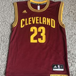 Lebron James Jersey