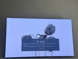 LG OLED C2 55"