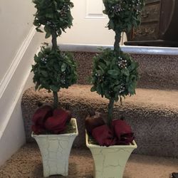 Trees