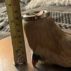 Antique Taxidermy Deer  Hoof Ashtray