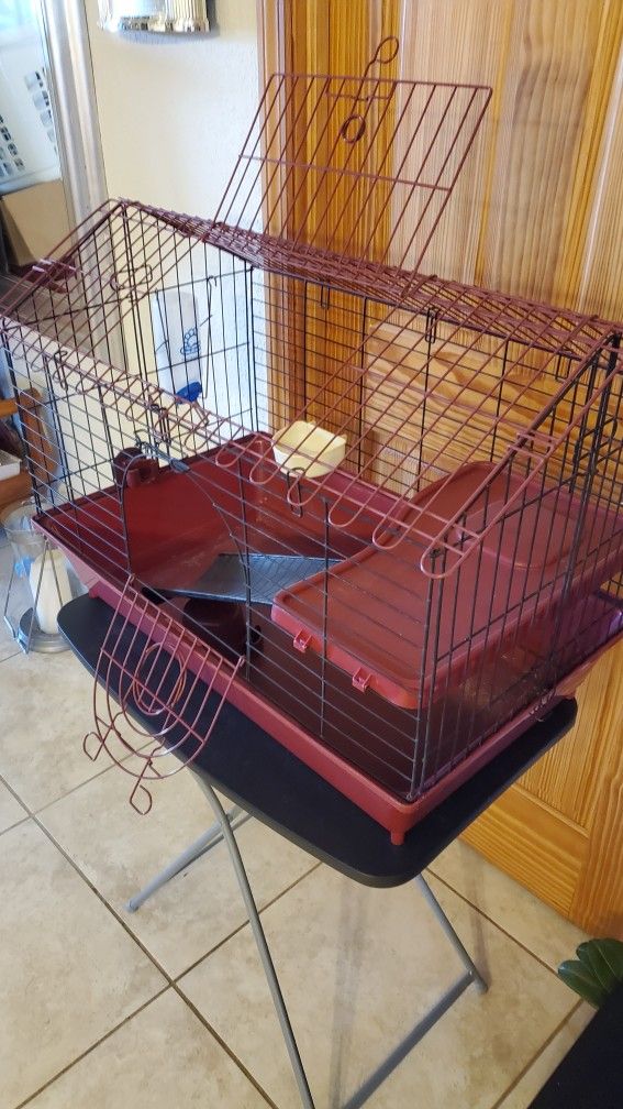 Guinea Pig Cage Or Small Pet Cage