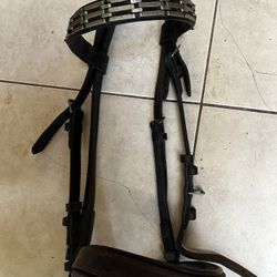 Bridle 