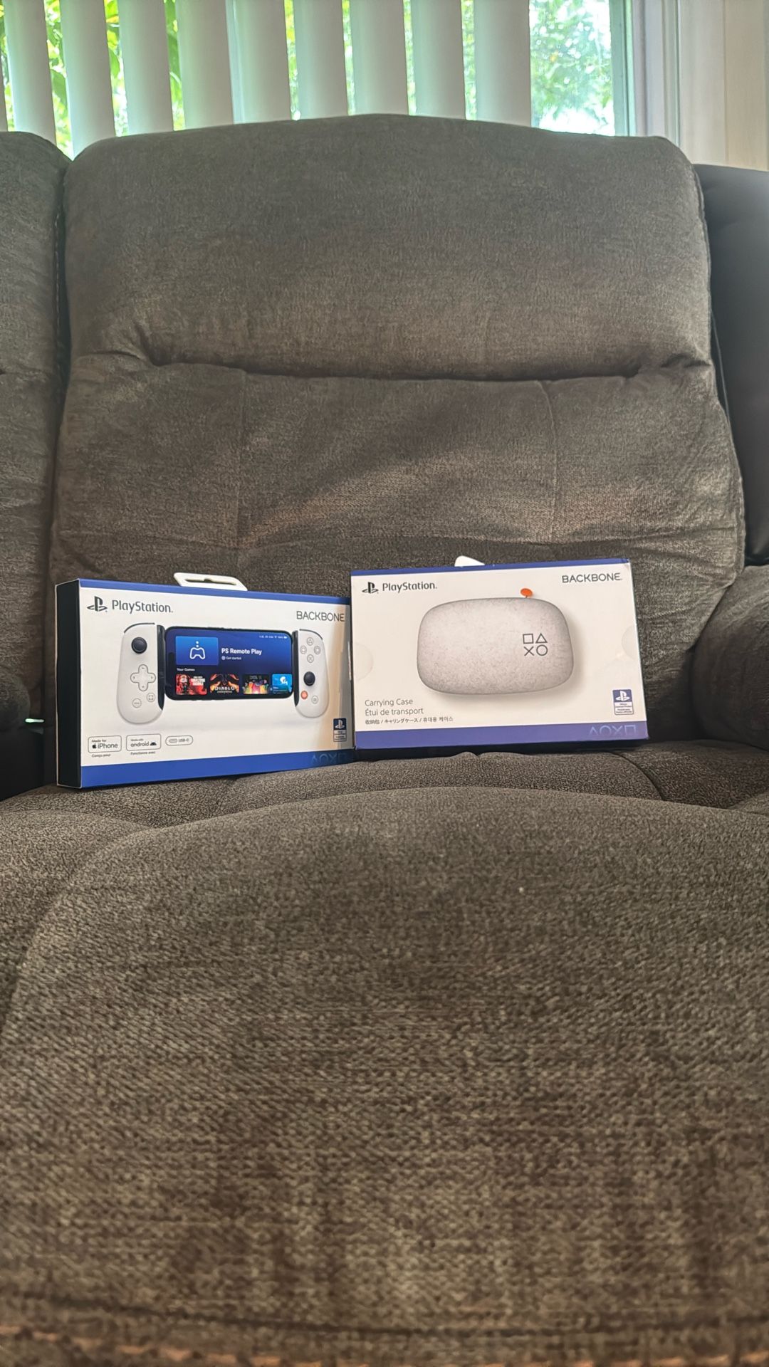 PlayStation Backbone