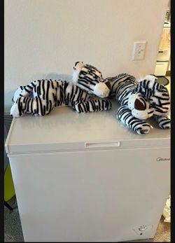 Toy