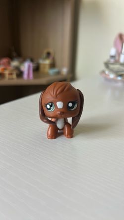 Lps beagle