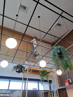 Wallpaper Install 