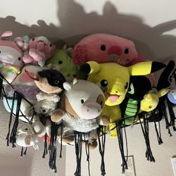 PLUSHIES SEND ME OFFERS
