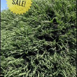 NEW/ USED Artificial turf Sale!