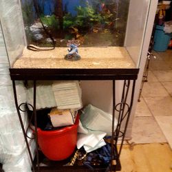10 Gallon Tank And Stand With Filter