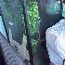 Chameleon Cage With Everything Inside $80 Will Trade For Diapers Size Newborn To Size 4 Whichever 