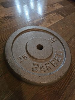 25 lb Barbell Weight Plate - Standard 1" Hole - Cast Iron