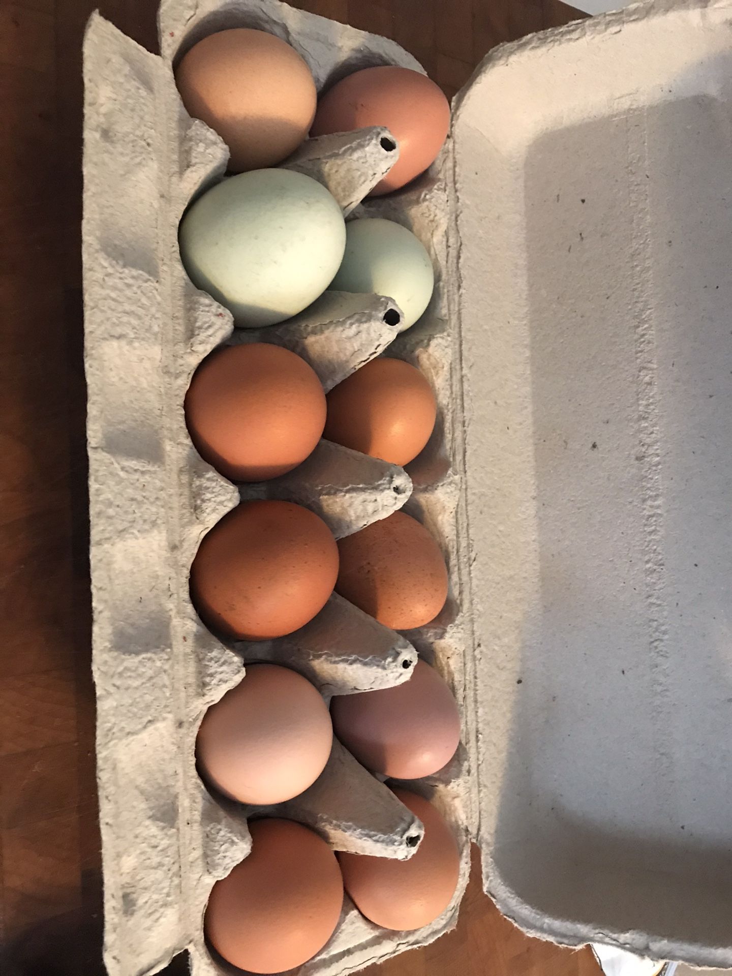 Organic free range eggs