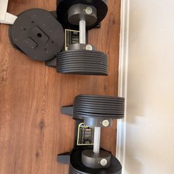 Mx Adjustable Dumbbells 85lbs