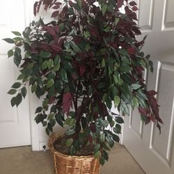 Artificial Ficus Tree 