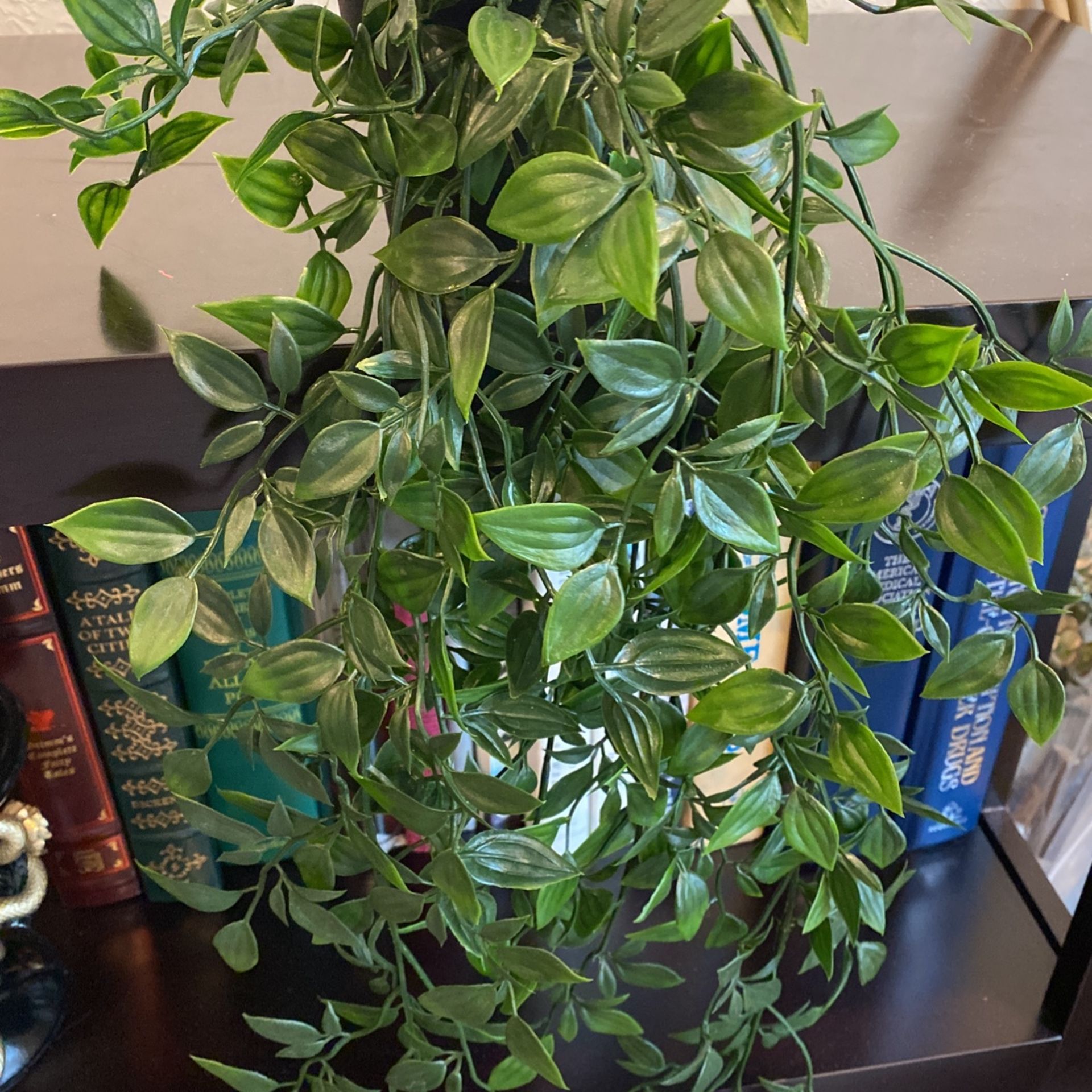 Faux Vining Plant