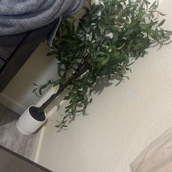 Olive Artificial Plant