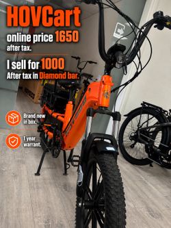 family kid pet grocery electric bike - cargo e-bike in big sale