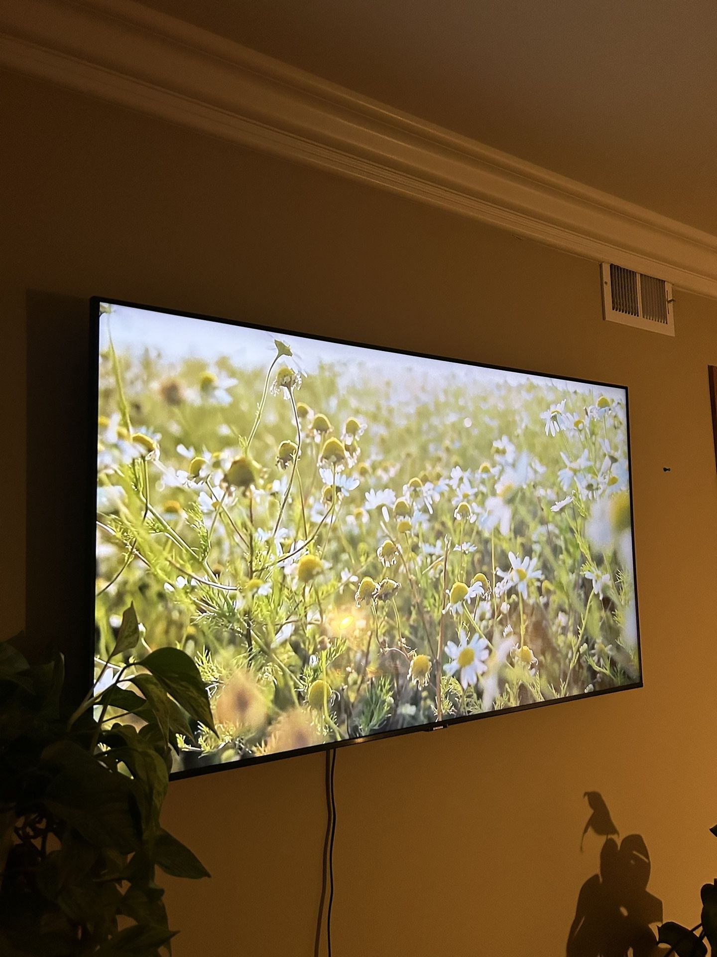 55” Samsung TV 