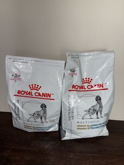 Dog food