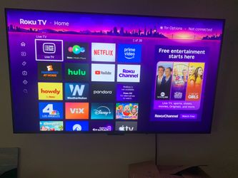 Roku 48” TV with remote