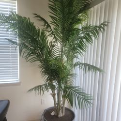 Apartment Furniture Sale 