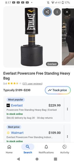 Everlast Punching Bag